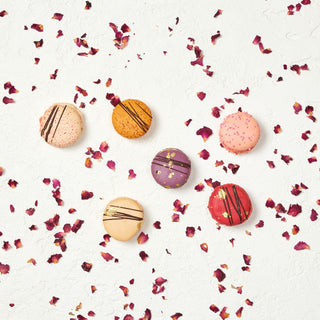 Mary's Assorted Macarons (Pack of 6)