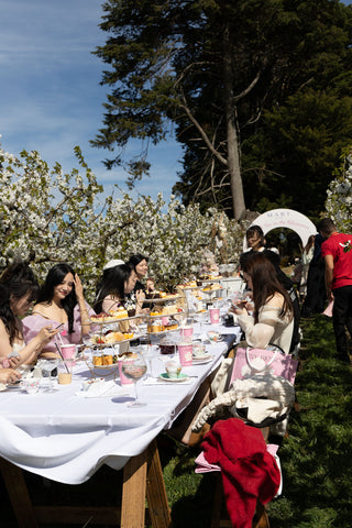 Group of women at long table with white tablecloth enjoying Melbournes best high tea amongst cherry blossoms at CherryHill Orchards